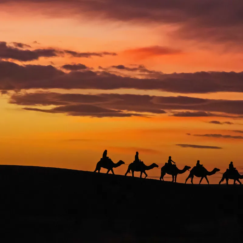 Morocco journeying Activities