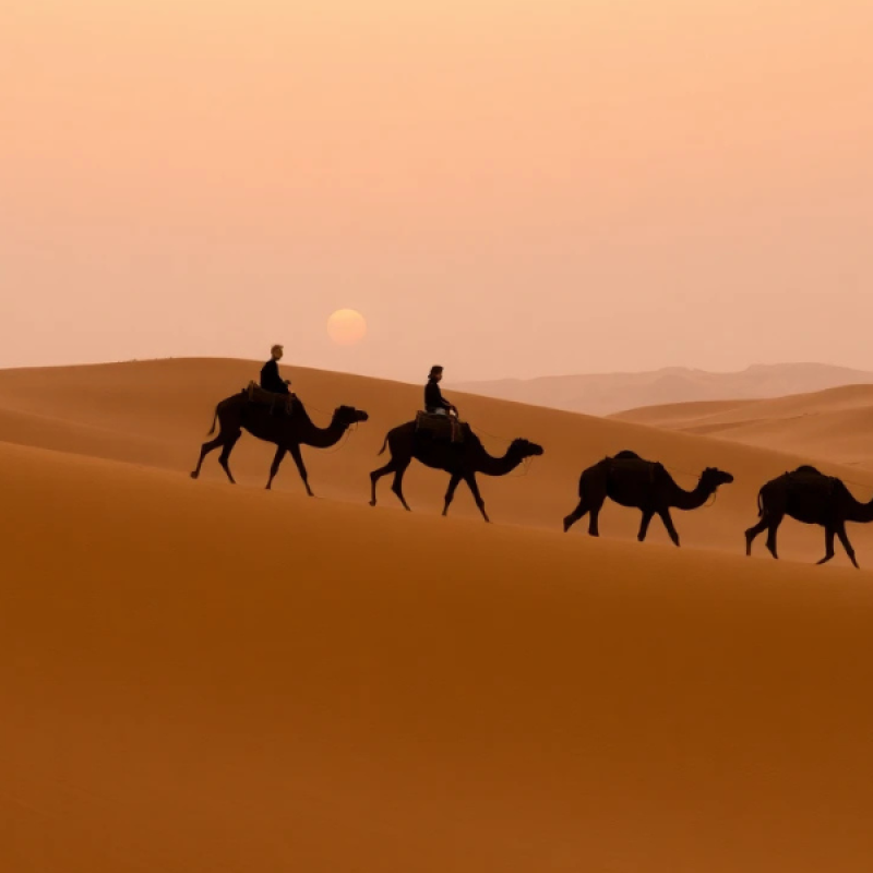 Sahara Desert Camel Trek