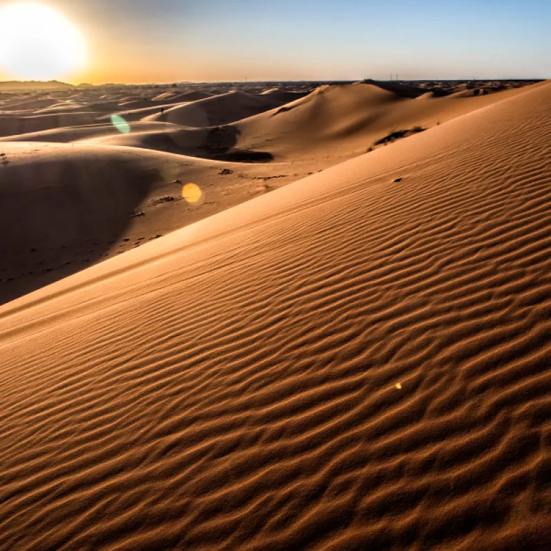 Sahara Sahara